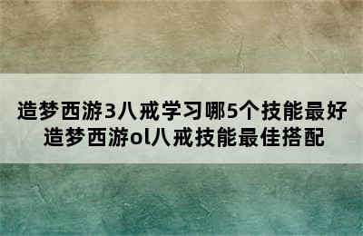 造梦西游3八戒学习哪5个技能最好 造梦西游ol八戒技能最佳搭配